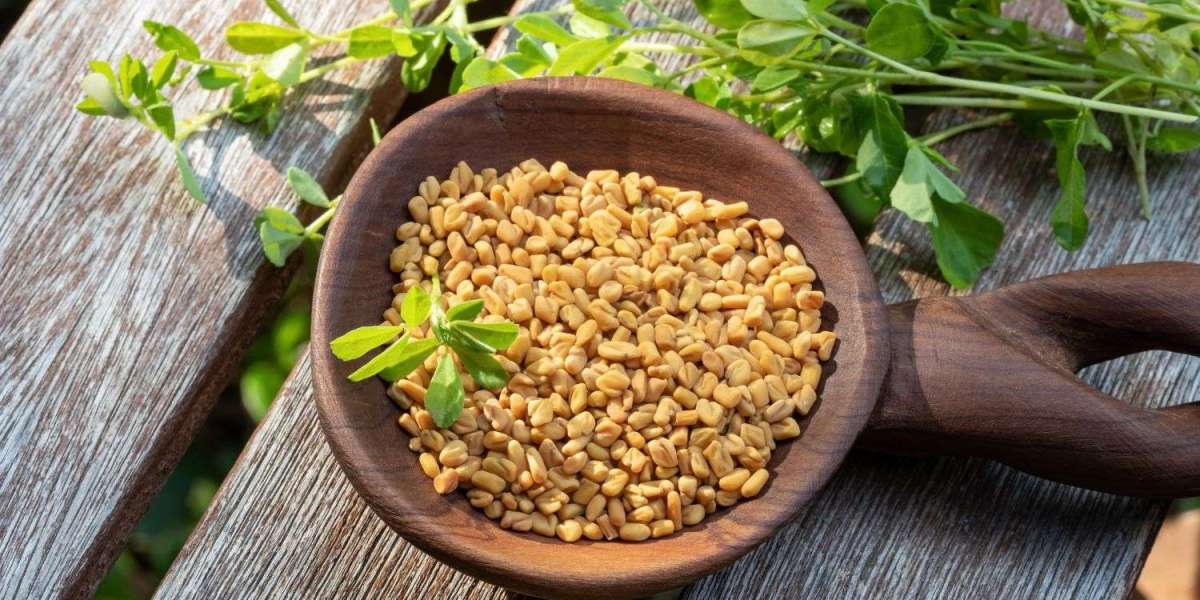 Beauty And Health Benefits Of Fenugreek Seeds