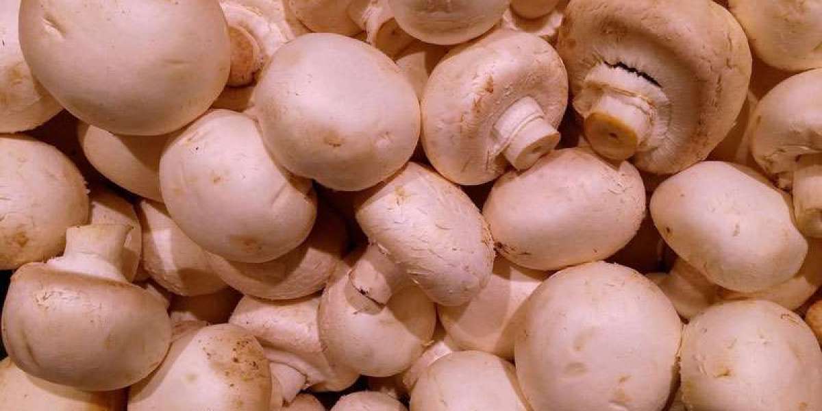 Mushroom Cultivation Market Manufacturers, Research Methodology, Competitive Landscape and Business Opportunities by 202