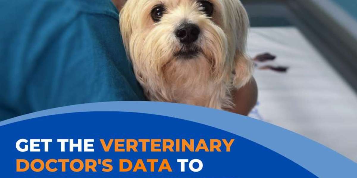 Crafting Engaging Content for Veterinarian Email list Subscribers