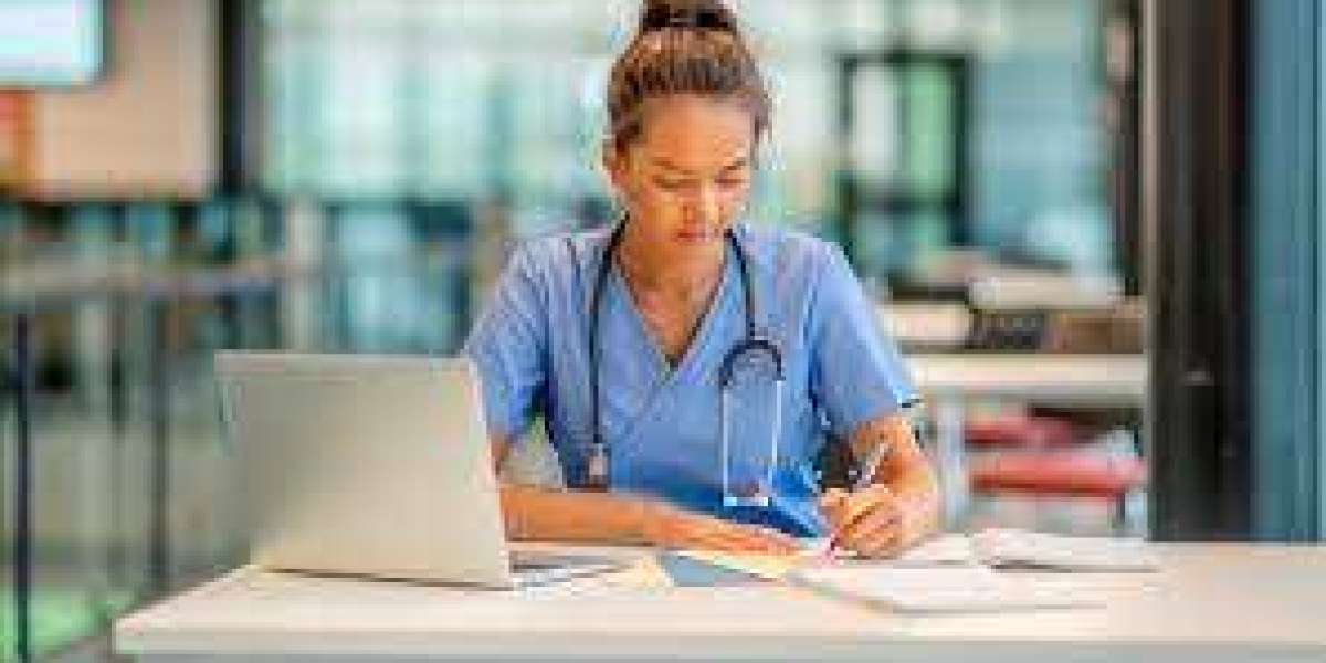 Navigating Nursing Papers: The Impact of Professional Writing Services