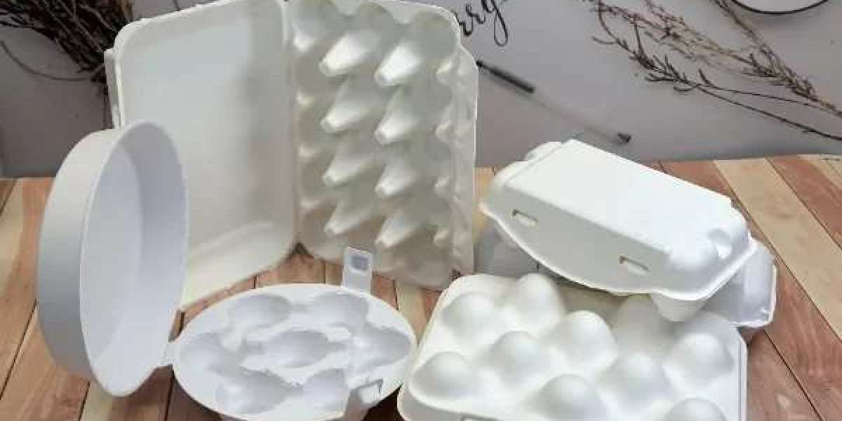 A Sustainable Solution for Egg Packaging: Natural Bamboo Pulp Egg Tray