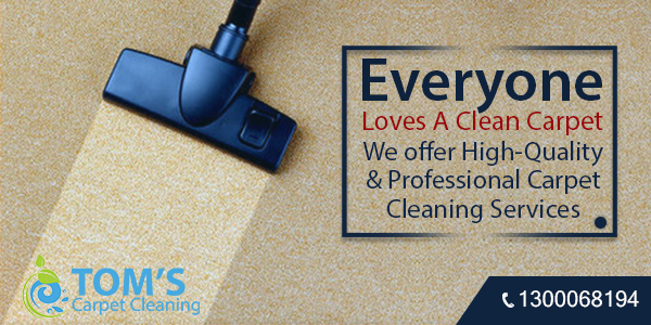 Carpet Cleaning St Kilda - Expert Services at Affordable Rates