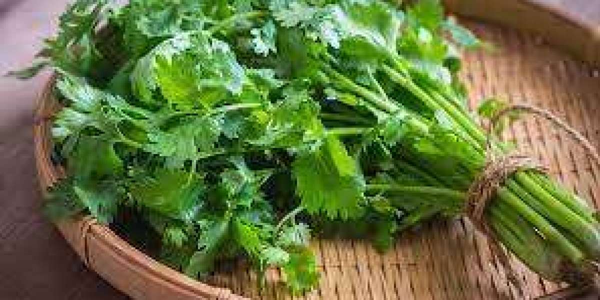 Advantages of Coriander Leaves in Treating Asthma