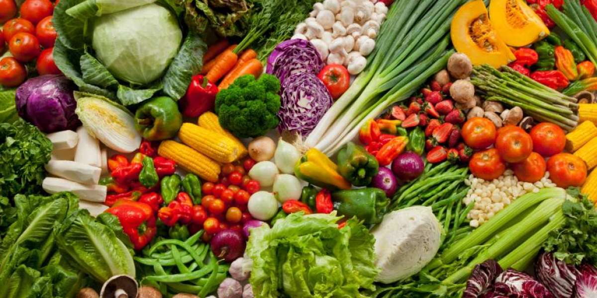 The Role Of Plant-Based Diets In Managing Cancer Treatment Side Effects