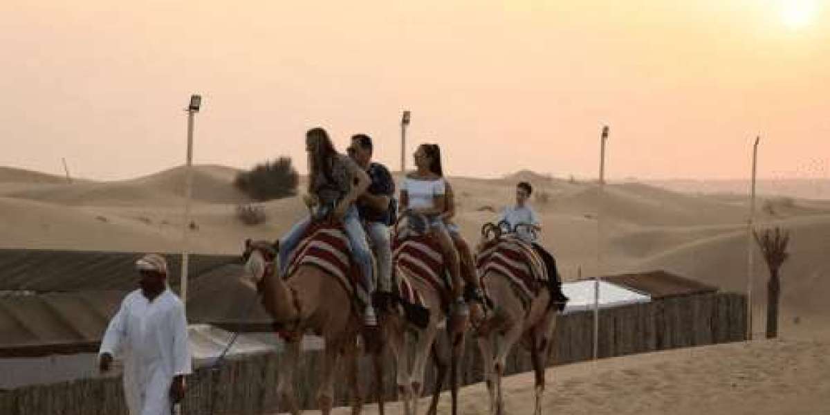 Desert Echoes: Unforgettable Safari Excursions in Dubai