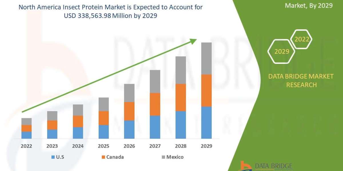 America Insect Protein Market In-depth Evaluation, Sector Breakdown, And Major Players