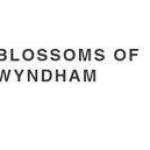 blossomof wyndham Profile Picture
