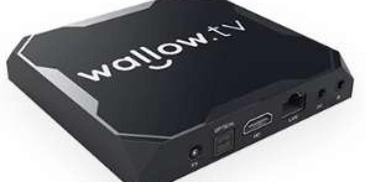 Dive into the World of Entertainment with Wallow.tv