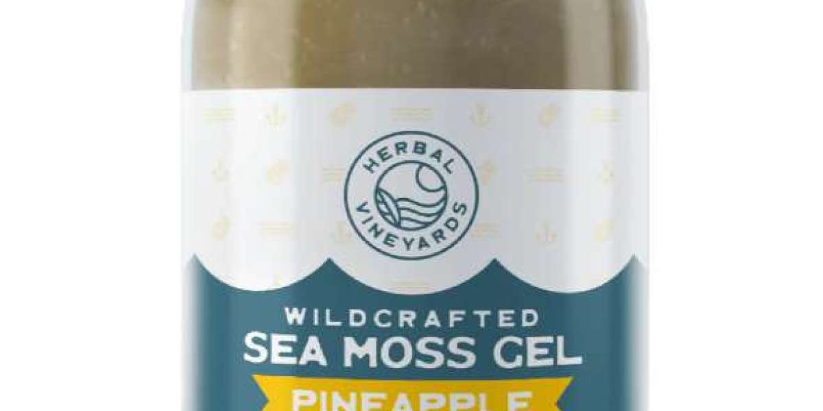 Sea Moss Gel vs. Capsules: Which Form Is Right for You?