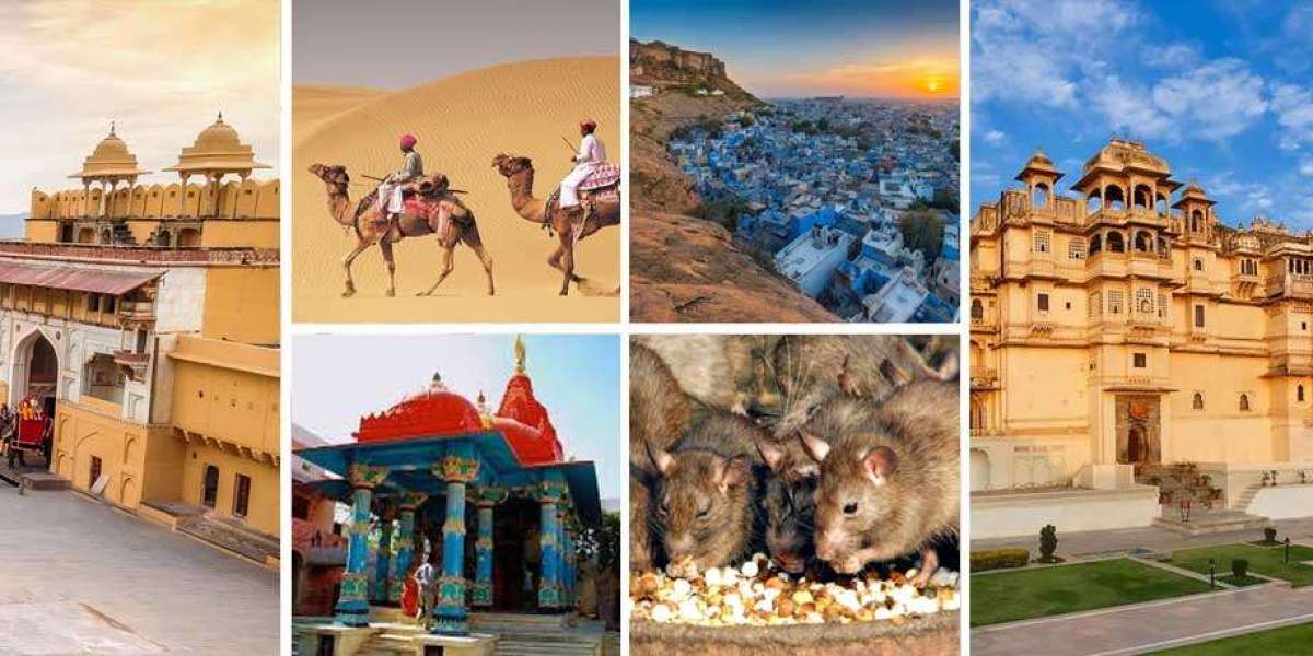 When to Go Best Times for Tour Packages to Rajasthan at Helloraahi?