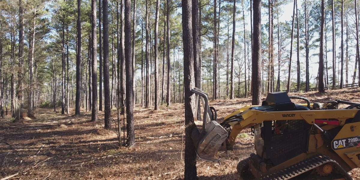 Looking to clear land? Choose Samurai Forestry for top-notch forest mulching NSW solutions!