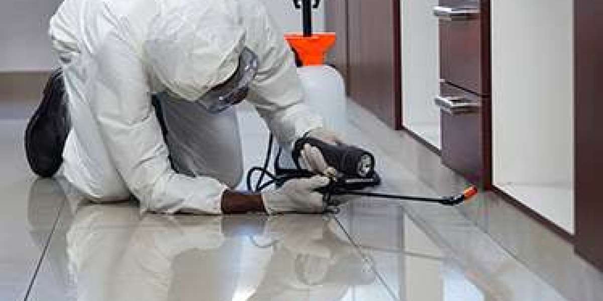 Comprehensive Guide to Residential Pest Control Services: A Focus on Kreshco Pest Control
