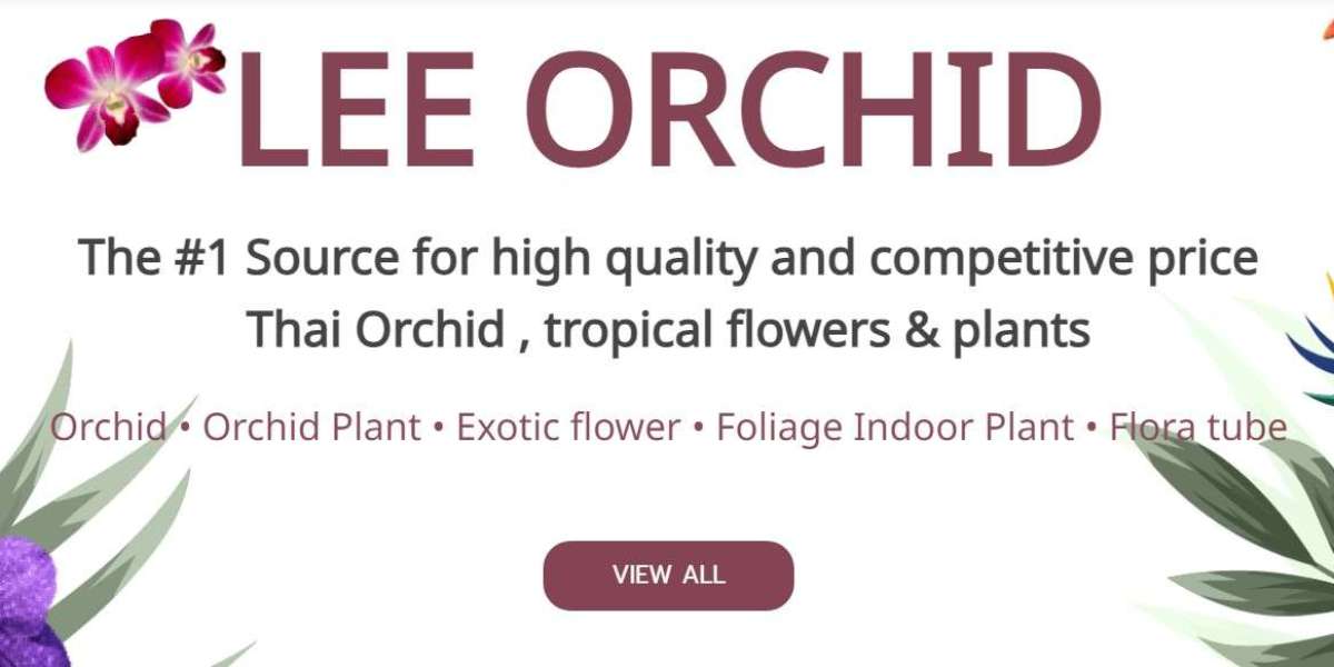 Ways How You Can Choose the Best Orchid Supplier