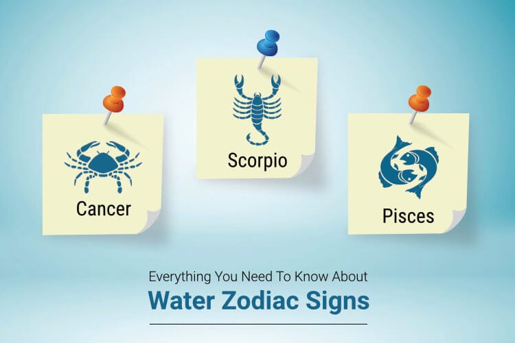 Understanding the Water Signs of the Zodiac | by astro logyinlife | Feb, 2024 | Medium