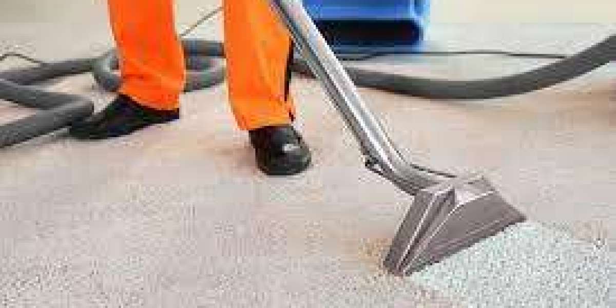 The Transformative Impact of Carpet Cleaning Services
