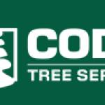 Cody Tree Service