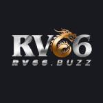 rv66buzz Profile Picture