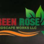 Green Rose Profile Picture