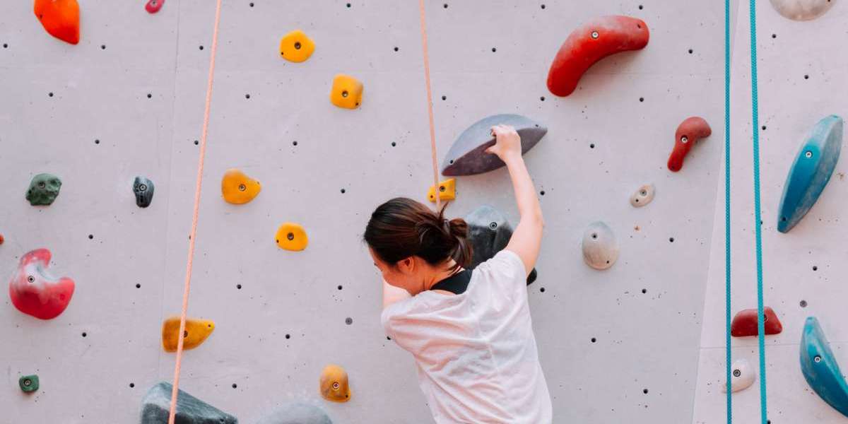 Global Rock Climbing Gym Market to Grow with a CAGR of 6.8% Globally through 2029