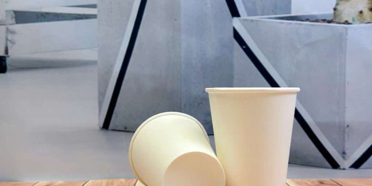 EPP Plastic-Free Paper Cup: A Sustainable Solution for a Greener Future