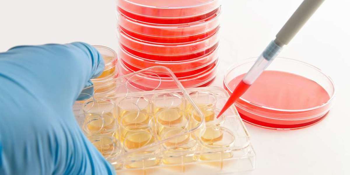 From $4.9 Billion to $8.62 Billion: The Automated Cell Culture Market Boom