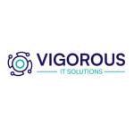Vigorous IT Solutions Profile Picture
