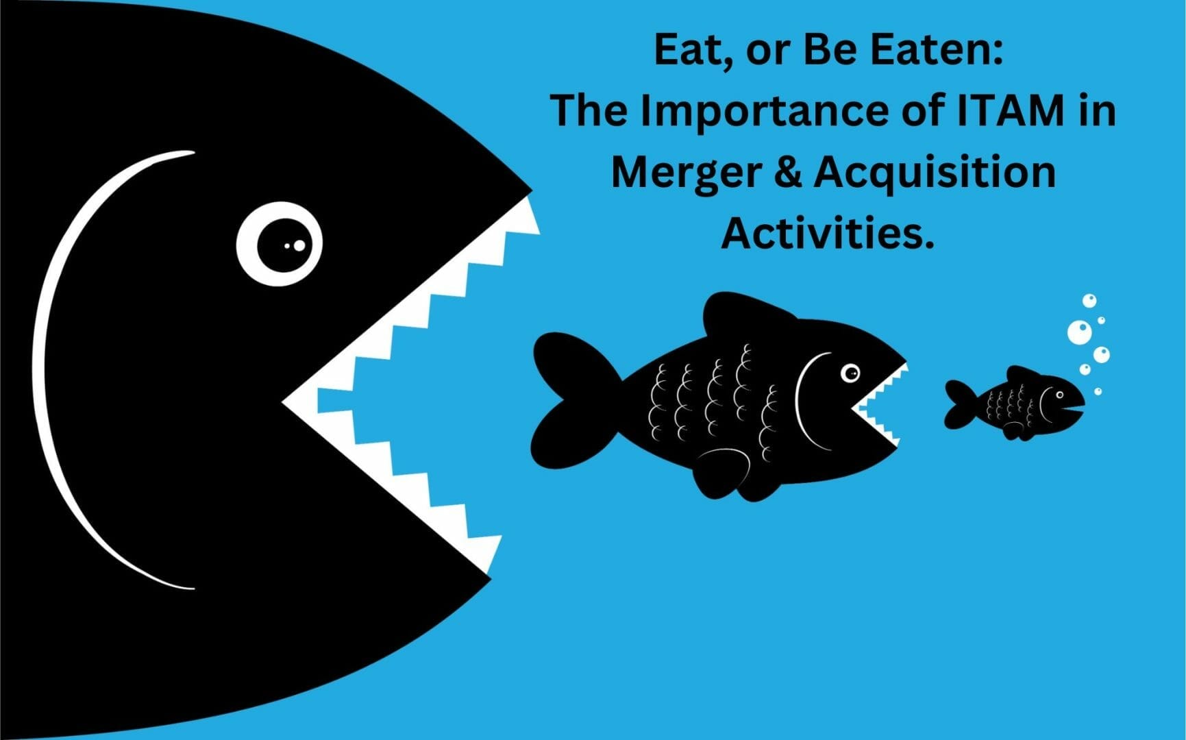 Eat, or Be Eaten: The Importance of ITAM in Merger & Acquisition Activities - Boerger Consulting | The ITAM Coach