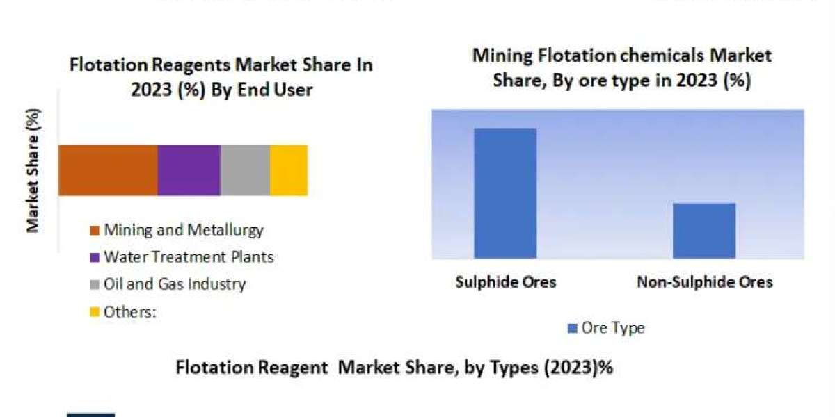 Global Flotation Reagents Market: Optimizing Mineral Processing (2024-2030 Outlook)