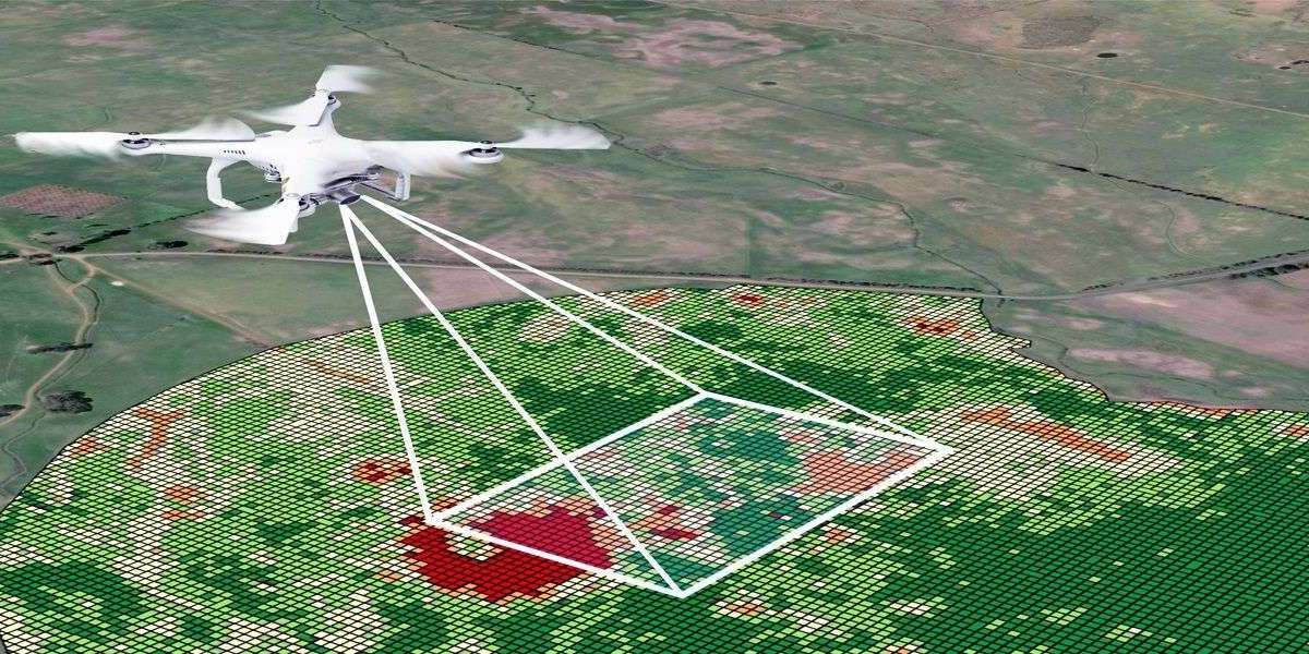 Revolutionizing Agriculture: How Drones are Transforming Crop Inspection and Damage Mapping for Insurance