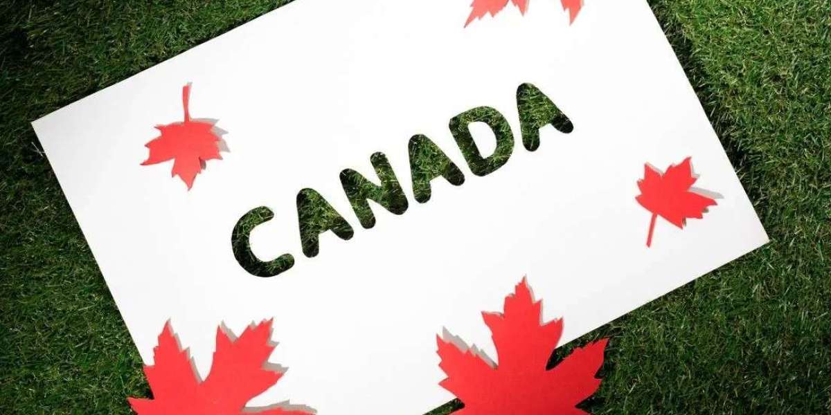 Seizing Employment Opportunities: The Benefits of a Spousal Open Work Permit in Canada