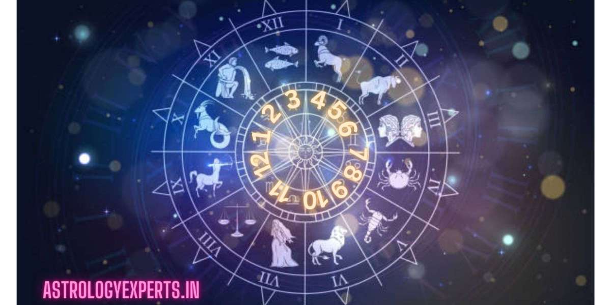 Jyotish Acharya Devraj Ji: The Best Astrologer in the World