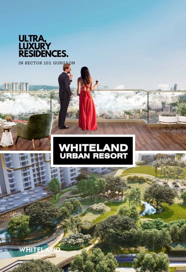 Whiteland Residential & Commercial Projects in Gurgaon