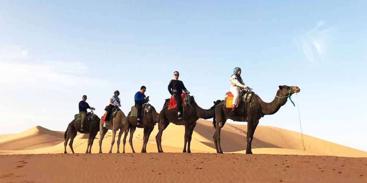 Embark on an Unforgettable Adventure: Marrakech to Fes Desert Tour in 4 Days