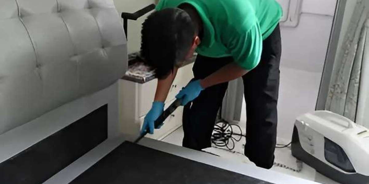 Controlling Bed Bugs in Singapore: Tips and Strategies