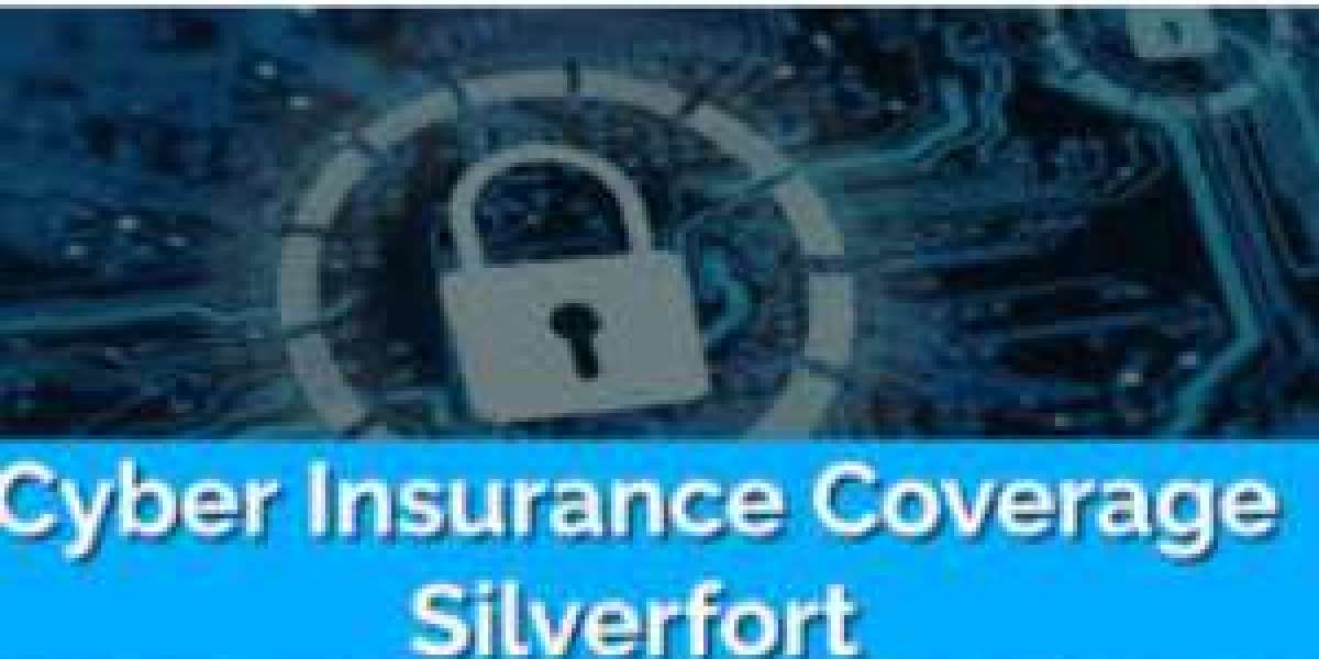 cyber insurance coverage silverfor