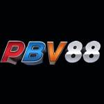 pbv88today Profile Picture