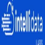 IntelliData Labs