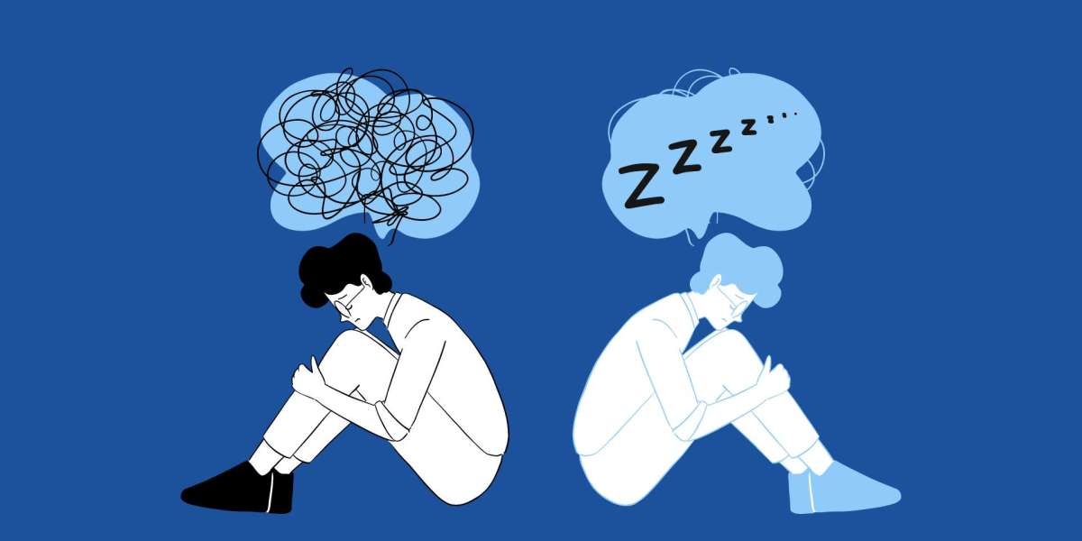 Insomnia's Echo: Voices of Sleeplessness