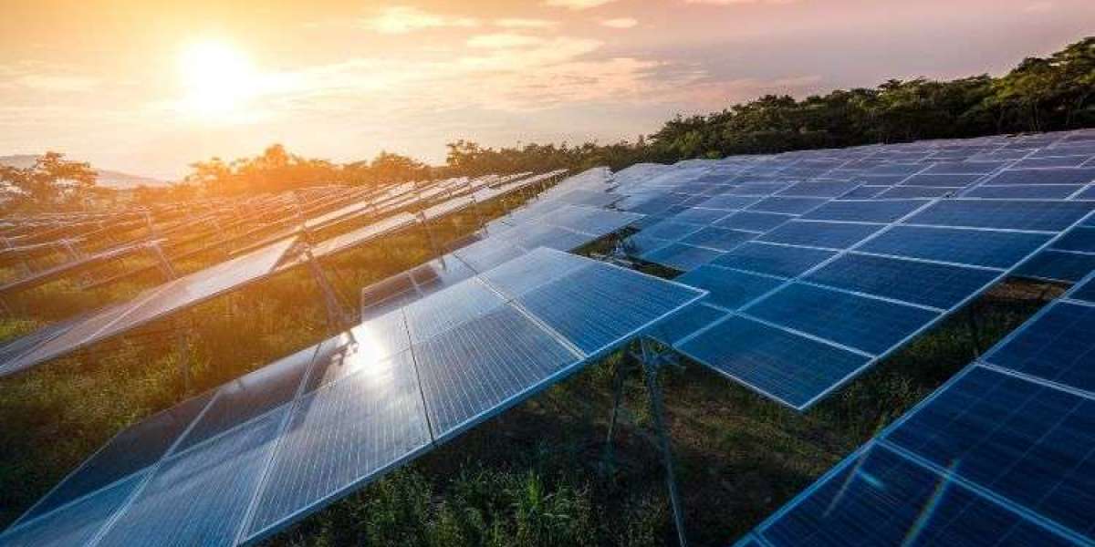 The Future of Solar Farms Market: Trends and Innovations