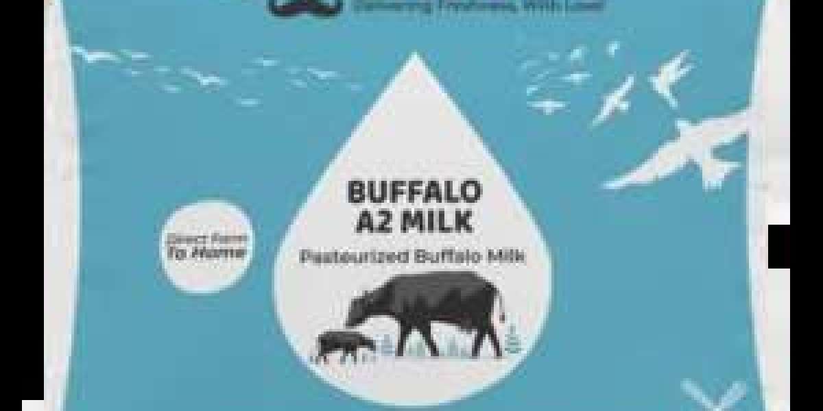 Exploring the Richness of Buffalo Milk