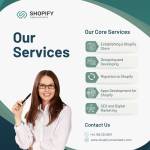 shopify consultant