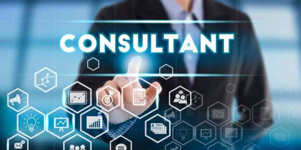 The Role of a Business Consulting firms in India