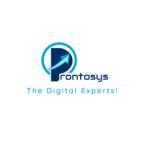 PRONTOSYS IT Services Profile Picture