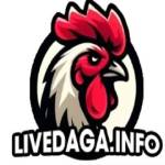 Livedaga Info Profile Picture