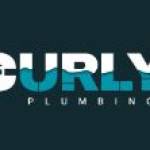 Curlys Plumbing Profile Picture