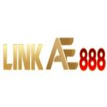 Link AE888 Profile Picture