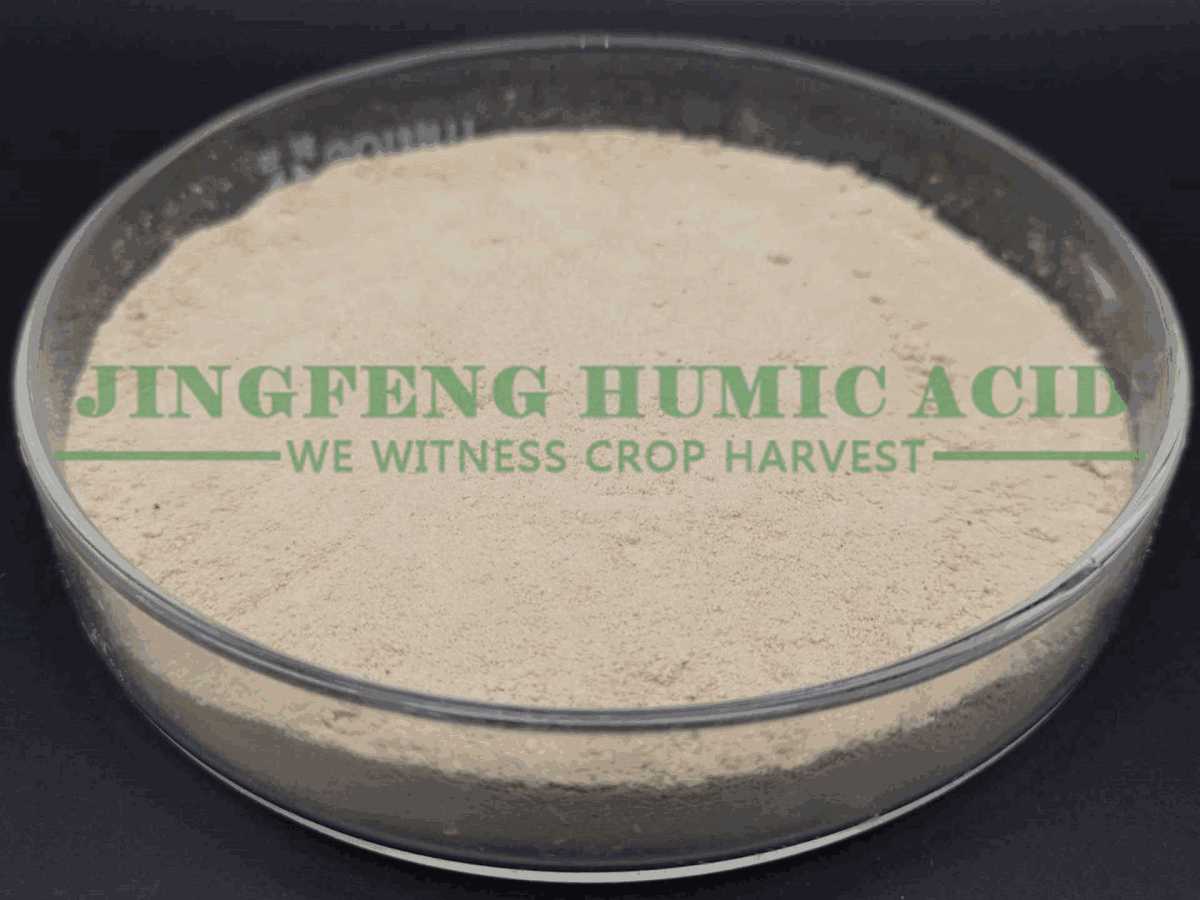 Pointers To Choose Amino Acid Fertilizer Manufacturers – Humicchina.com