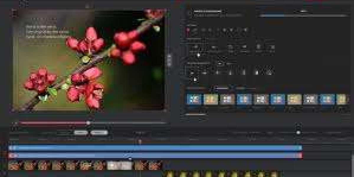 Mastering Key Concepts in Video Editing: Cuts, Transitions, and Effects
