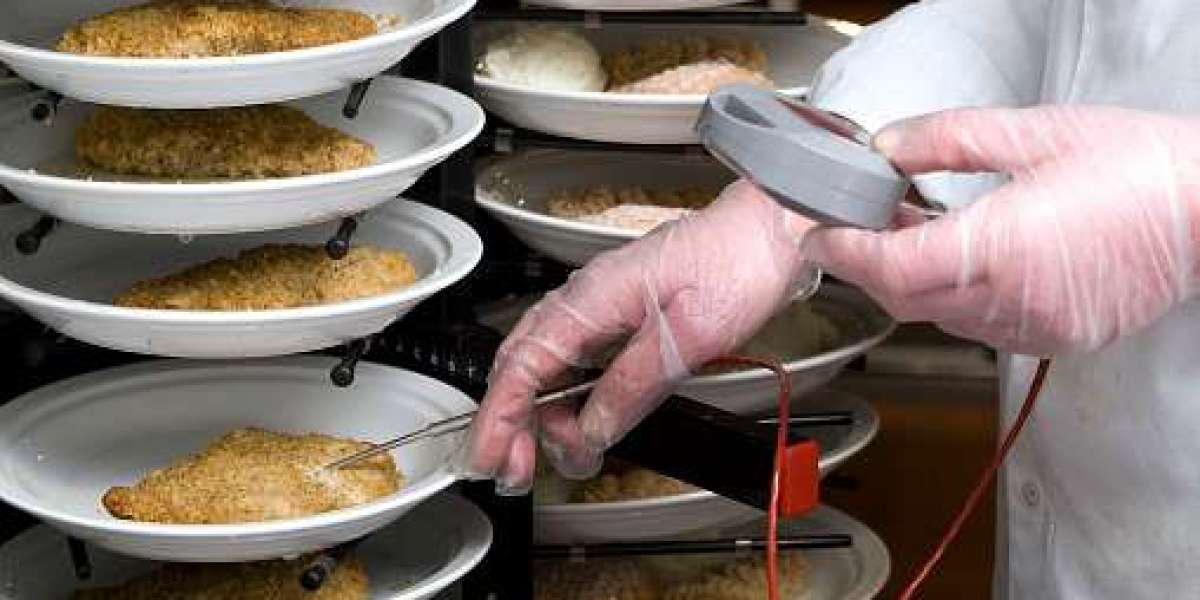 Europe Food Safety Testing Market Future Growth Prospects, Emerging Solutions – Global Forecast 2030