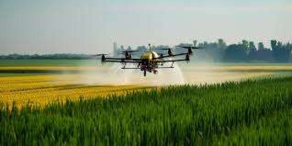 Iran Agriculture Drones Market Size, Share, Forecasts to 2033